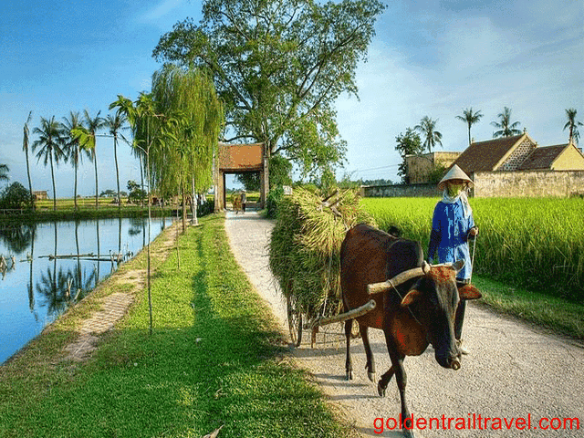 Hanoi Cycling Trip – Duong Lam Ancient Village 1 Day
